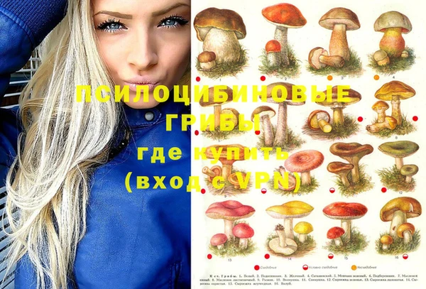бутират Арсеньев
