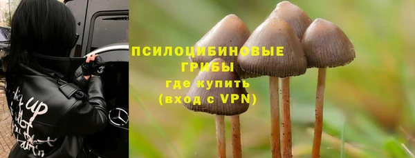 spice Алзамай