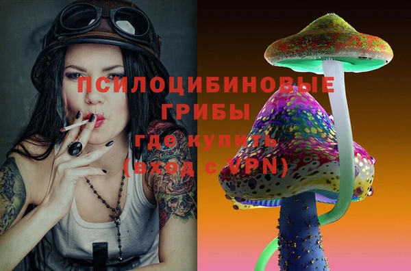 spice Алексеевка