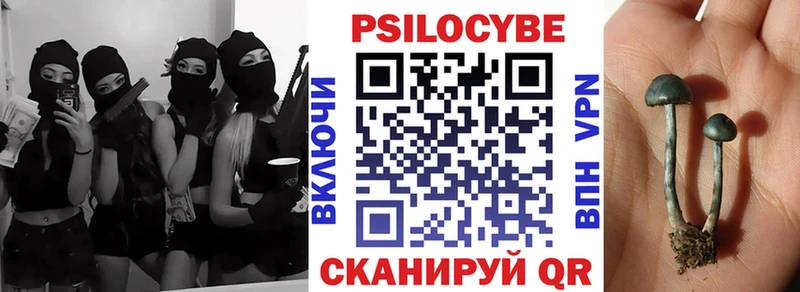 Псилоцибиновые грибы Psilocybe  Пущино 